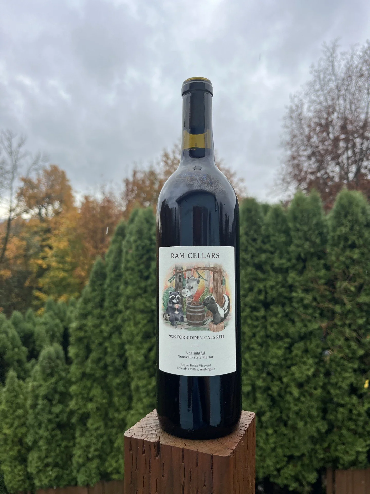 DeliciousTaylormade The RAD ハカランダCask46 RAM Cellars' 2025 Forbidden Cats Label Nouveau-Style Merlot — RAM